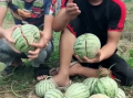 爬山网红吃瓜,揭秘娱乐圈幕后真相