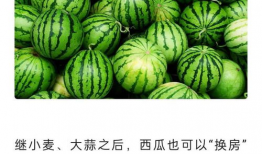 云吃瓜网,揭秘娱乐圈幕后故事，带你领略明星真实生活