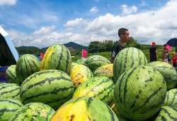 梁山网红景点吃瓜视频,揭秘幕后故事与热门话题