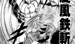 一拳超人漫画完结了吗,传奇落幕，漫画完结篇